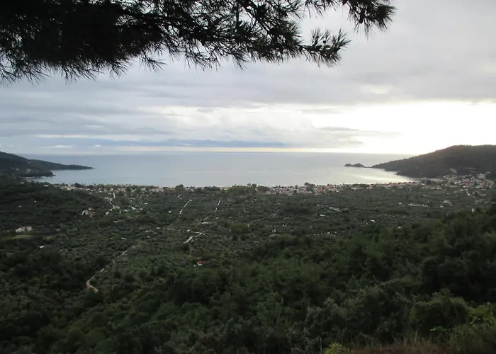 La Vigna By The Sea * Chrisi Ammoudia