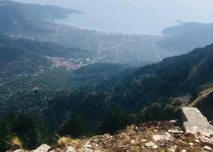 La Vigna By The Sea Chrisi Ammoudia