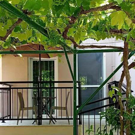 Appart hôtel La Vigna By The Sea Chrysi Ammoudia